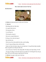 lap dan y thuyet minh chiec non la viet nam