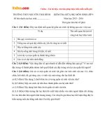 de thi giua hk2 mon sinh hoc lop 9 truong thcs nguyen thai binh ba ria vung tau nam hoc 2015 2016