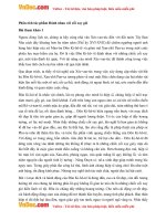 van mau lop 8 phan tich tac pham danh nhau voi coi xay gio