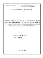 Nghiên cứu thành phần hóa học và thăm dò hoạt tính sinh học của ba loài thực vật ngập mặn vùng ven biển việt nam cỏ chông (spinifex littoreus), hếp (scaevola taccada) và cóc đỏ (lumnitzera littorea) (tt) 