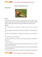 lap dan y thuyet minh ve con ga