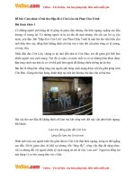 van mau lop 8 cam nhan ve bai tho dap da o con lon cua phan chu trinh