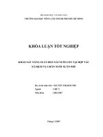 KHẢO SÁT NĂNG SUẤT HEO NÁI NUÔI CON TẠI HỢP TÁC XÃ DỊCH VỤ CHĂN NUÔI XUÂN PHÚ