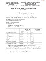 Bao cao tinh hinh quan tri ca nam 2015