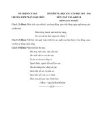 de thi hoc ki 1 mon ngu van lop 10 nam 2015 2016 truong thpt phan ngoc hien ca mau