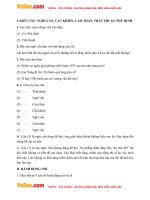 soan bai lop 7 on tap va kiem tra phan tieng viet