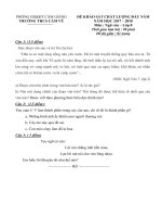 de thi kscl dau nam van 8 thcs tan vu 2017 2018