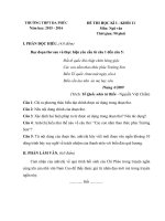 de thi hoc ki 1 mon ngu van lop 11 nam 2015 2016 truong thpt da phuc ha noi