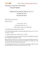 de thi giua hoc ki 2 mon ngu van lop 11 truong thpt hiep binh ho chi minh nam 2014 2015