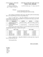 BC Giai trinh doanh thu Q1 2011 tang so voi Q1 2010