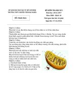 de thi hk1 mon sinh hoc 10 truong thpt chuyen tran dai nghia tphcm nam 2016 2017