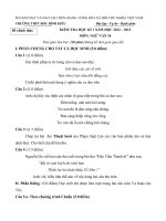 de thi hoc ki 1 mon ngu van lop 10 nam 2012 2013 truong thpt doc binh kieu tien giang