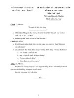 de thi kscl dau nam mon van 9 truong thcs cam vu nam 2016 2017