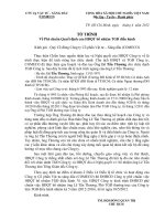 DHCDTN2011 ND7 To trinh bo nhiem TGD