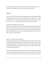 hoạt động đánh giá thực hiện công việc tại tổ chức mà anh chị đang làm việc 