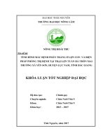 Bệnh phân trắng ở lợn con và biện pháp điều trị tại Trại lợn Tuấn Hà, thôn Mai Thưởng  xã Yên Sơn  Huyện Lục Nam Tỉnh Bắc Giang