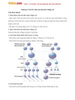 sinh hoc 11 bai 45 sinh san huu tinh o dong vat 1