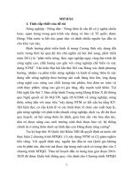 Đánh giá chính sách xây dựng nông thôn mới từ thực tiễn quảng nam (tt)