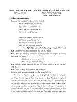 de thi hoc ki 1 mon ngu van lop 12 nam 2015 2016 truong thpt phan ngoc hien