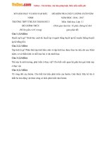 de thi hk2 mon sinh hoc lop 11 truong thpt thuan thanh so 3 bac ninh nam hoc 2016 2017