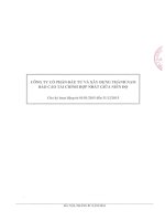 CSC: BCTC và giải trình chênh lệch LNST Quý 4 Hợp nhất | COTANA GROUP BCTC quy 4 hop nhat