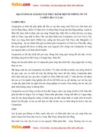 giai bai tap sgk dia ly lop 8 bai 18 thuc hanh mot so thong tin ve campuchia va lao