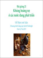 Bài giảng 21. Khủng hoảng nợ ở các nước đang phát triển