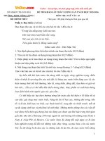 de thi khao sat chat luong lan 2 mon van lop 10 truong thpt nong cong 1 nam 2015 2016