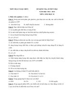 de kiem tra 45 phut hk2 mon sinh hoc lop 10 truong thpt phan ngoc hien nam 2014 2015