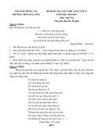 de kiem tra giua hk2 mon ngu van lop 11 truong thpt dau giay dong nai nam 2014 2015