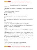 soan bai luyen noi thuyet minh ve mot thu do dung