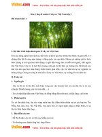 lap dan y thuyet minh ve cay tre viet nam