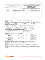 de thi hki 1 mon khoa hoc lop 5 tran hung dao