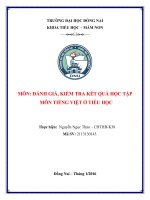 bo de thi trac nghiem mon tieng viet tieu hoc