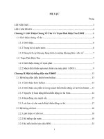 Giới thiệu một số hệ thống điện điện tàu 53000 tấn  đi sâu nghiên cứu hệ thống bảo vệ máy phát 