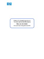 BCTC Công ty mẹ 6 tháng đầu năm 2016 (đã kiểm toán)