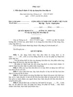 mau 01 quyet dinh ve viec ap dung hoa don dien tu