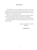 Lập phương án dẫn tàu từ điểm đón hoa tiêu đến cảng tiên sa đà nẵng 