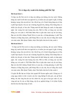 van mau lop 3 ta ve dep cay xanh tren duong pho ha noi