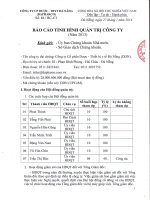 DAPHARCO BAO CAO TINH HINH QUAN TRI NAM 2013