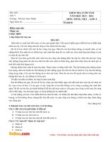 de thi hki2 mon tieng viet lop 5 truong tieu hoc nam thanh