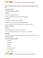 giai bai tap sgk dia ly lop 6 bai 12 tac dong cua noi luc va ngoai luc trong viec hinh thanh dia hinh be mat trai dat