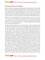 van mau lop 6 phan tich bai tho mua cua tran dang khoa