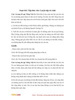 tap lam van lop 5 tuan 8 luyen tap ta canh tiep