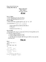 de va dap an kiem tra hki mon toan 8 thcs hai an