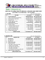 Báo cáo tài chính tóm tắt đã được kiểm toán