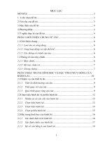 Thiết kế hệ thống lái tàu chở nhựa đường 2800 DWT, lắp máy WARTSILA 6l26d 