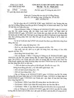 cong van 67060 dailythuecongminh.com