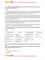 soan bai on tap truyen dan gian trang 134 sgk van 6