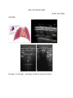 Tài liệu lớp siêu âm - lopsieuam2016 SIÊU ÂM MÀNG PHỔI